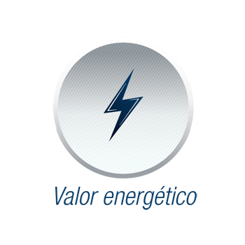 valor_energetico